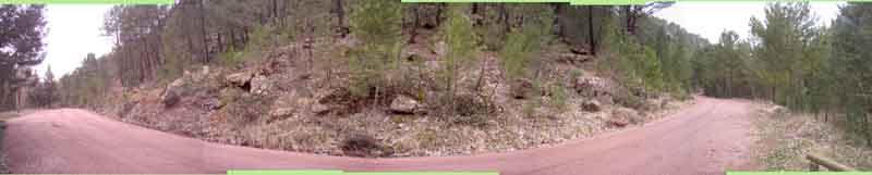 El camino del Vivero, a la altura de la Fuente del Cura, visto en una composición de Carlos Lopesino. Pincha para ampliarlo