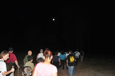 Puedes ampliar la foto de Andrés Tello